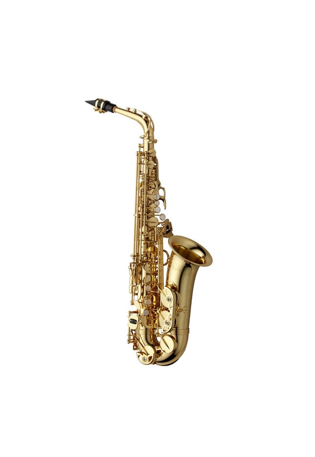 Yanagisawa A-WO1 Professional Alto Saxophone