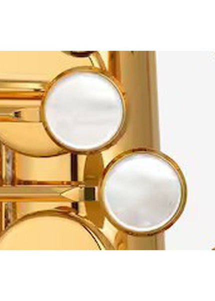 Yamaha YTS-875 EX Professional Tenor Saxophone - Gold Lacquer