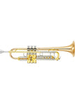 Gold Lacquer / New