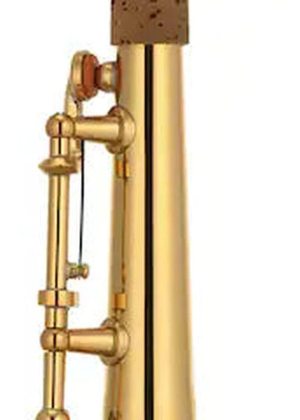 Yamaha YSS-82Z Custom Z Professional Soprano Saxophone - Gold Lacquer