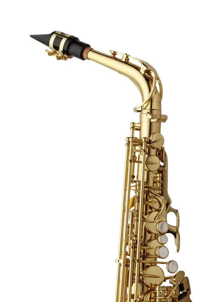 Yanagisawa A-WO1 Professional Alto Saxophone