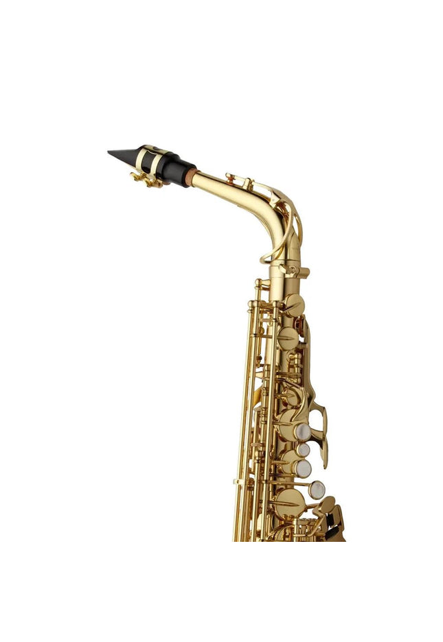 Yanagisawa A-WO1 Professional Alto Saxophone
