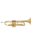 Gold Lacquer / New
