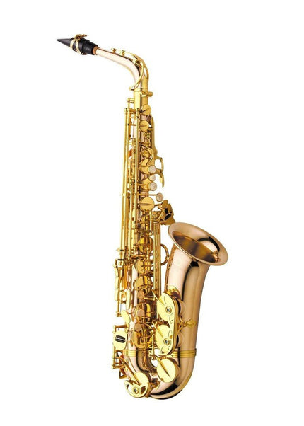 Yanagisawa AWO2 Professional Alto Saxophone - Bronze