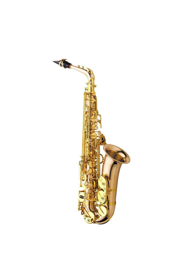Yanagisawa AWO2 Professional Alto Saxophone - Bronze